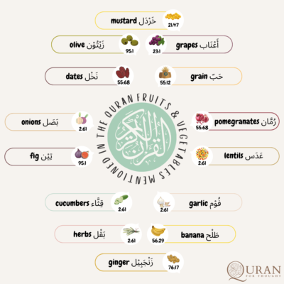 Fruits and Vegetables in the Quran